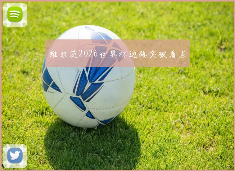 维尔茨2026世界杯边路突破看点