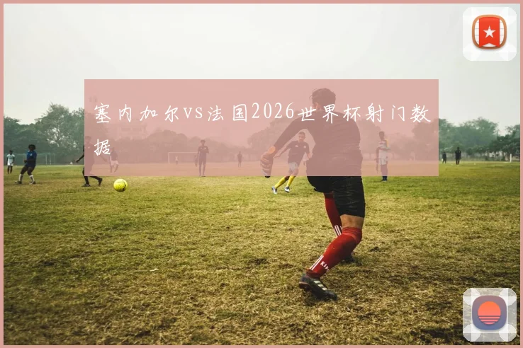 塞内加尔vs法国2026世界杯射门数据