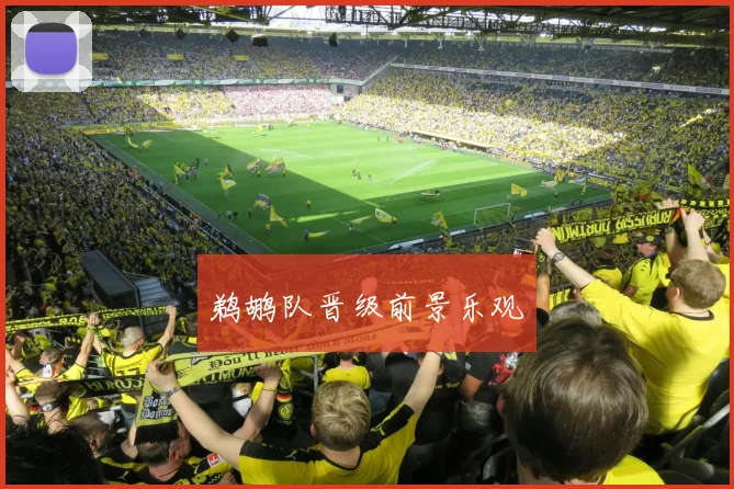 鹈鹕队晋级前景乐观