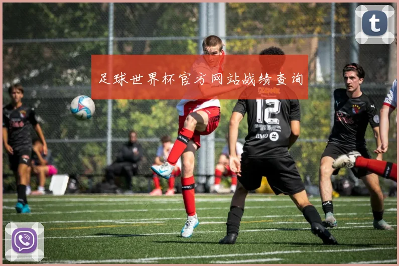 足球世界杯官方网站战绩查询