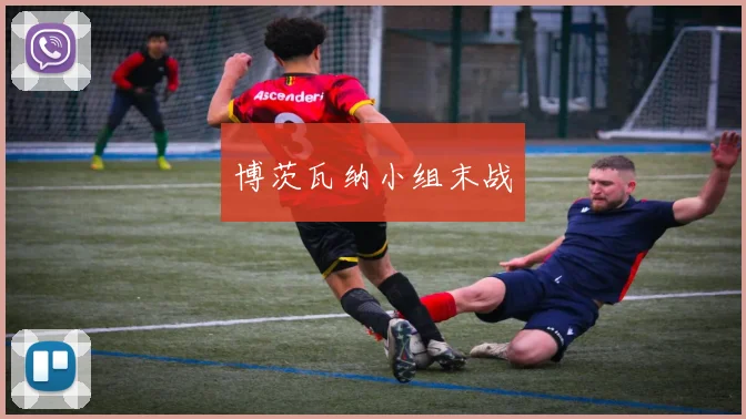 博茨瓦纳小组末战