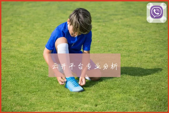 云开平台专业分析