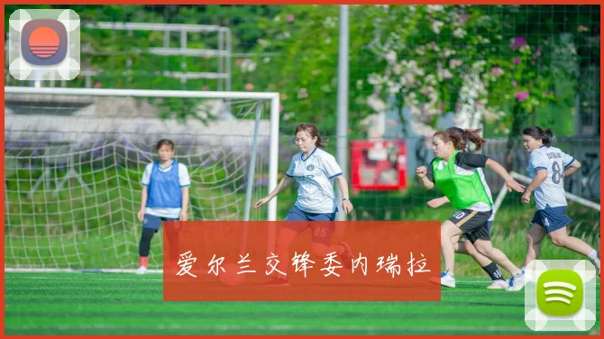 爱尔兰交锋委内瑞拉