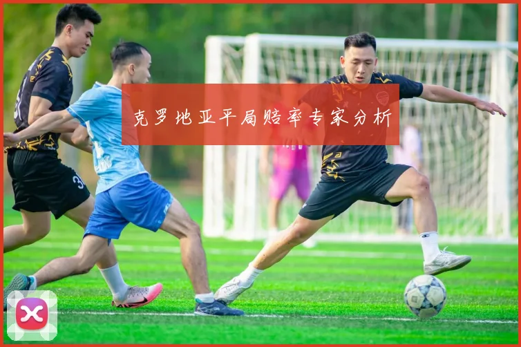 克罗地亚平局赔率专家分析