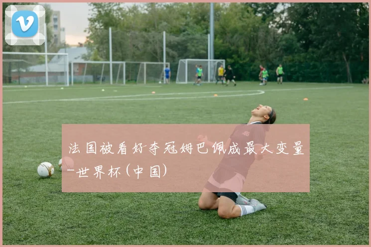 法国被看好夺冠姆巴佩成最大变量-世界杯(中国)