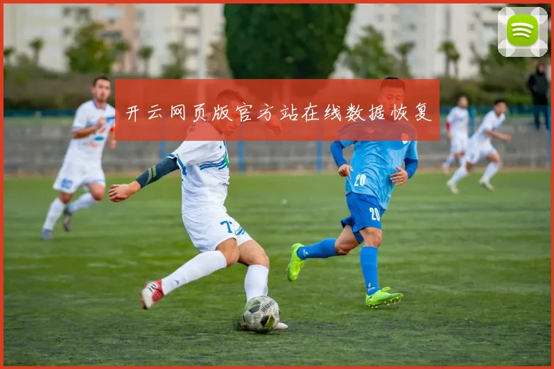 开云网页版官方站在线数据恢复