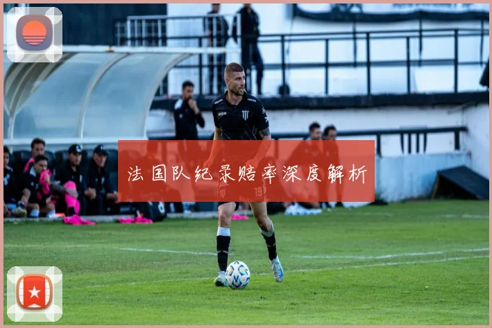 法国队纪录赔率深度解析
