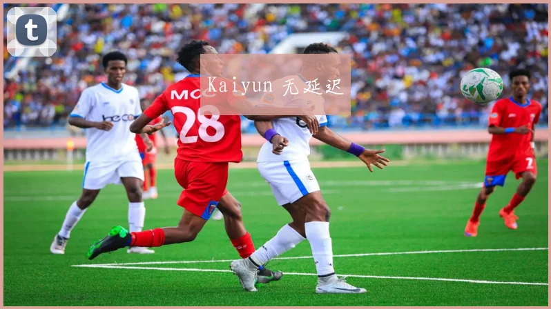 Kaiyun 无延迟