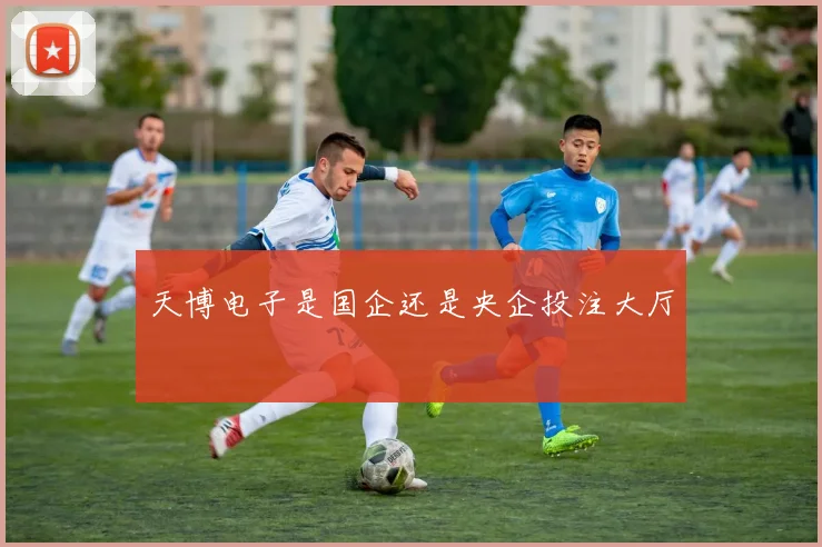 天博电子是国企还是央企投注大厅