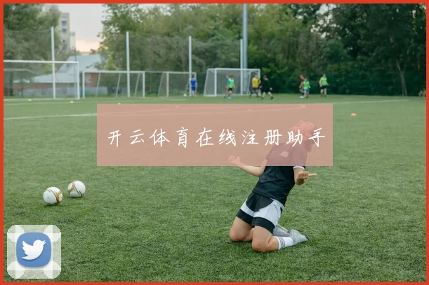 开云体育在线注册助手