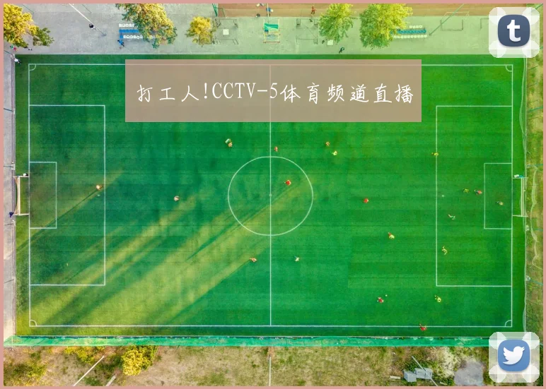 打工人!CCTV-5体育频道直播