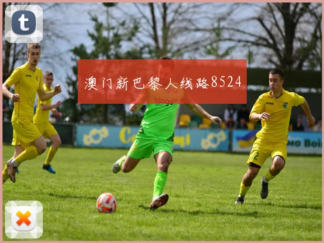 澳门新巴黎人线路8524