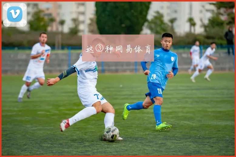 这③种网易体育