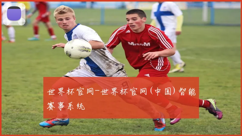 世界杯官网-世界杯官网(中国)智能赛事系统