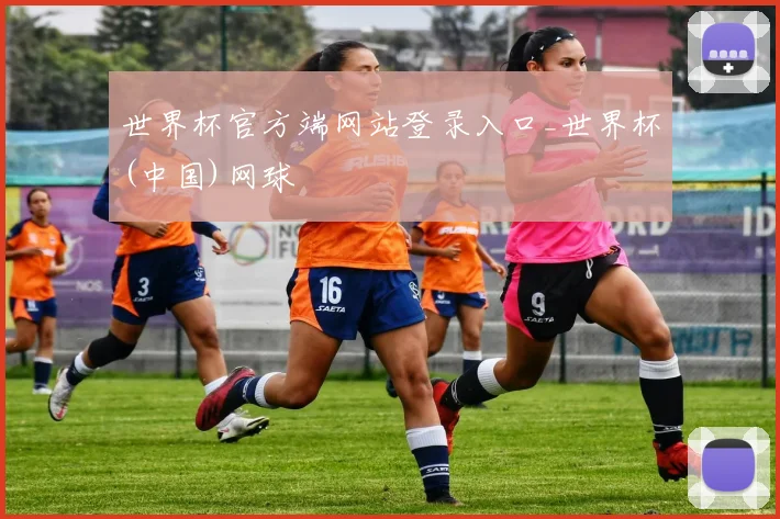 世界杯官方端网站登录入口_世界杯(中国)网球