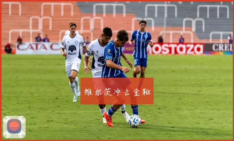维尔茨冲击金靴