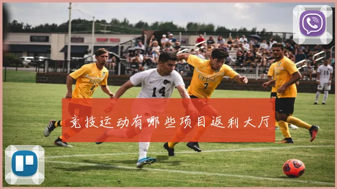 竞技运动有哪些项目返利大厅
