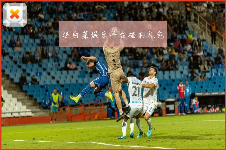 送白菜娱乐平台福利礼包