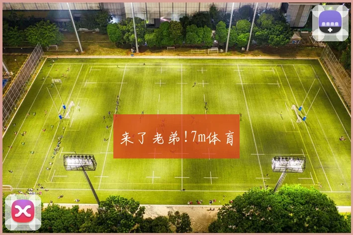 来了老弟!7m体育