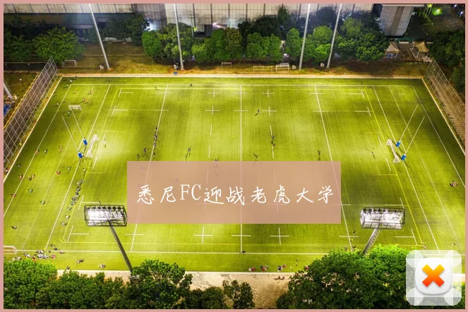 悉尼FC迎战老虎大学