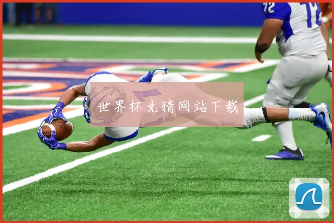 世界杯竞猜网站下载