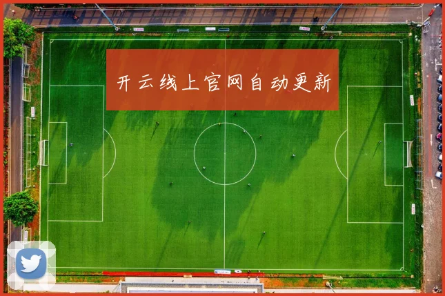 开云线上官网自动更新