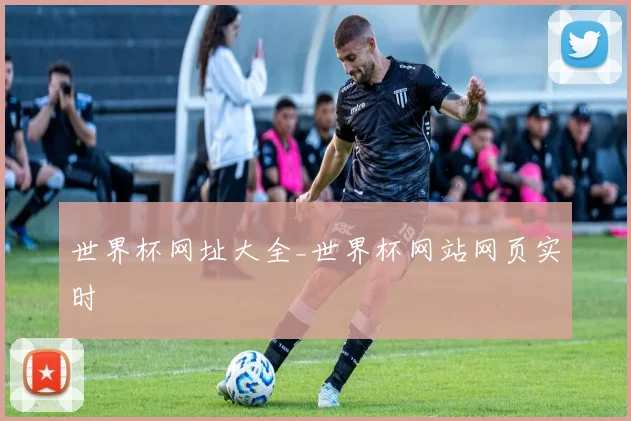 世界杯网址大全_世界杯网站网页实时
