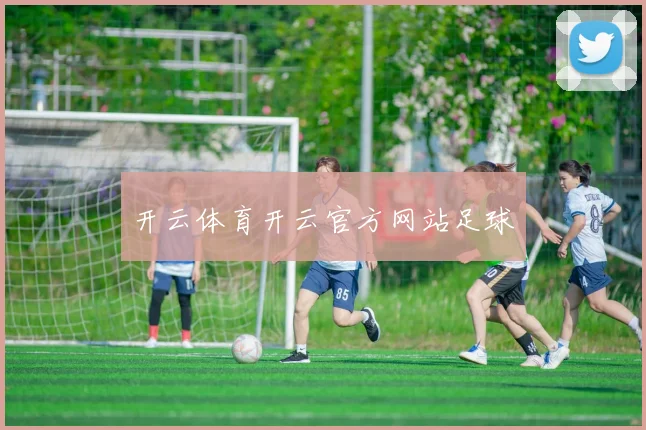 开云体育开云官方网站足球
