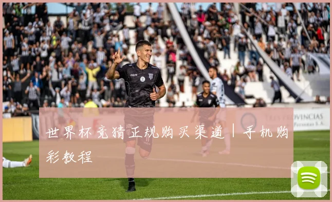 世界杯竞猜正规购买渠道｜手机购彩教程
