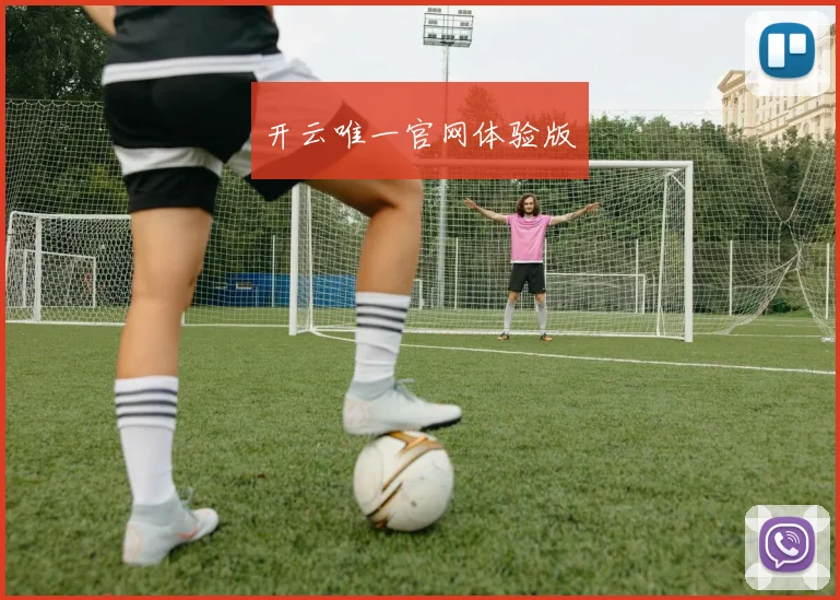 开云唯一官网体验版