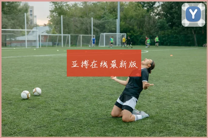 亚搏在线最新版