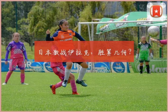 日本激战伊拉克,胜算几何?