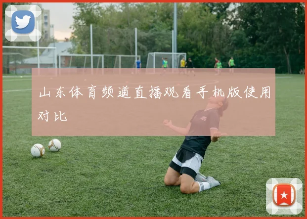 山东体育频道直播观看手机版使用对比