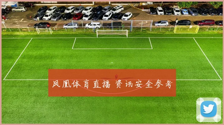 凤凰体育直播 资讯安全参考