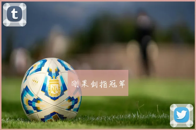 刚果剑指冠军