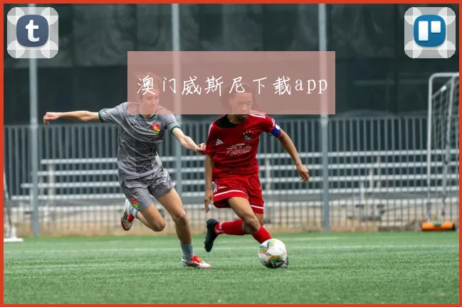 澳门威斯尼下载app