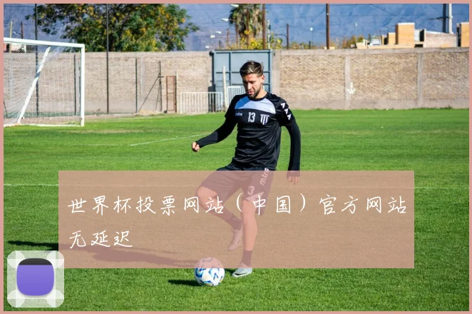 世界杯投票网站（中国）官方网站无延迟