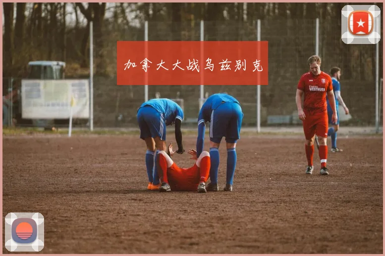 加拿大大战乌兹别克