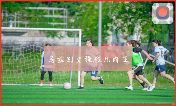 乌兹别克强碰几内亚