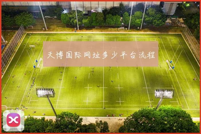 天博国际网址多少平台流程