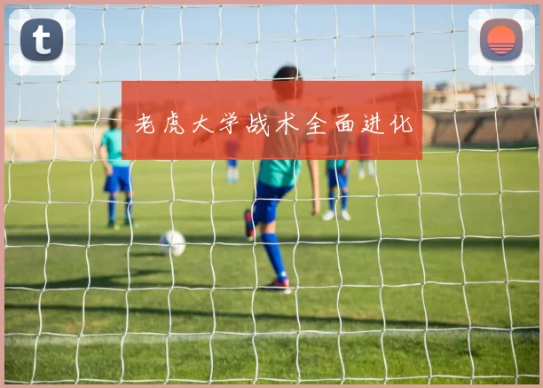 老虎大学战术全面进化