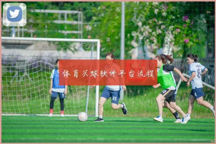 体育买球软件平台流程