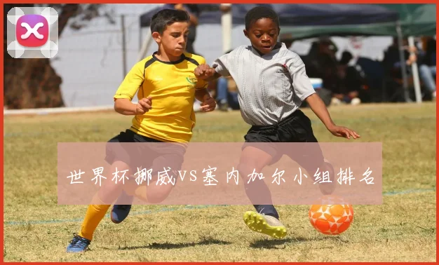 世界杯挪威vs塞内加尔小组排名