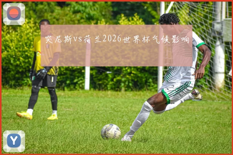 突尼斯vs荷兰2026世界杯气候影响