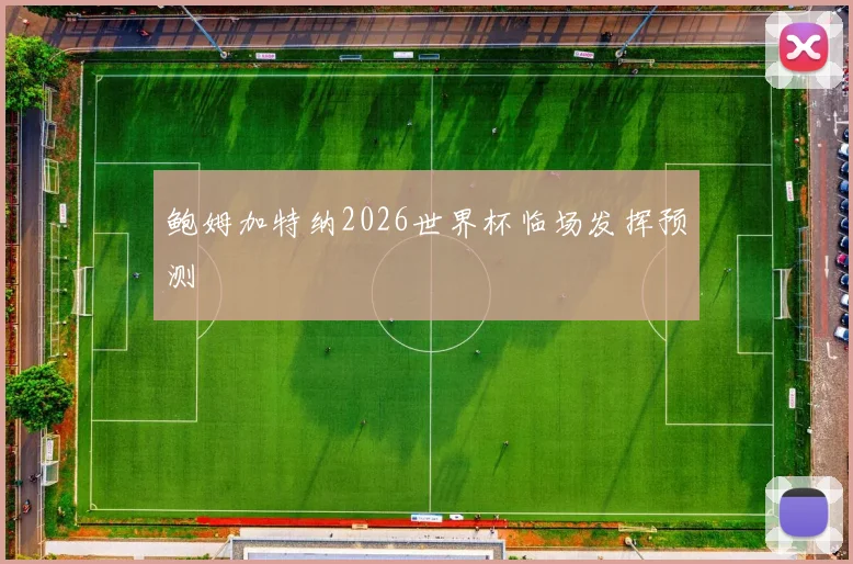 鲍姆加特纳2026世界杯临场发挥预测