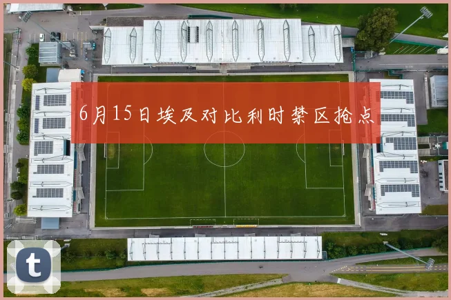6月15日埃及对比利时禁区抢点